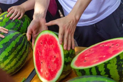 免费版吃瓜,揭秘娱乐圈幕后真相  第1张